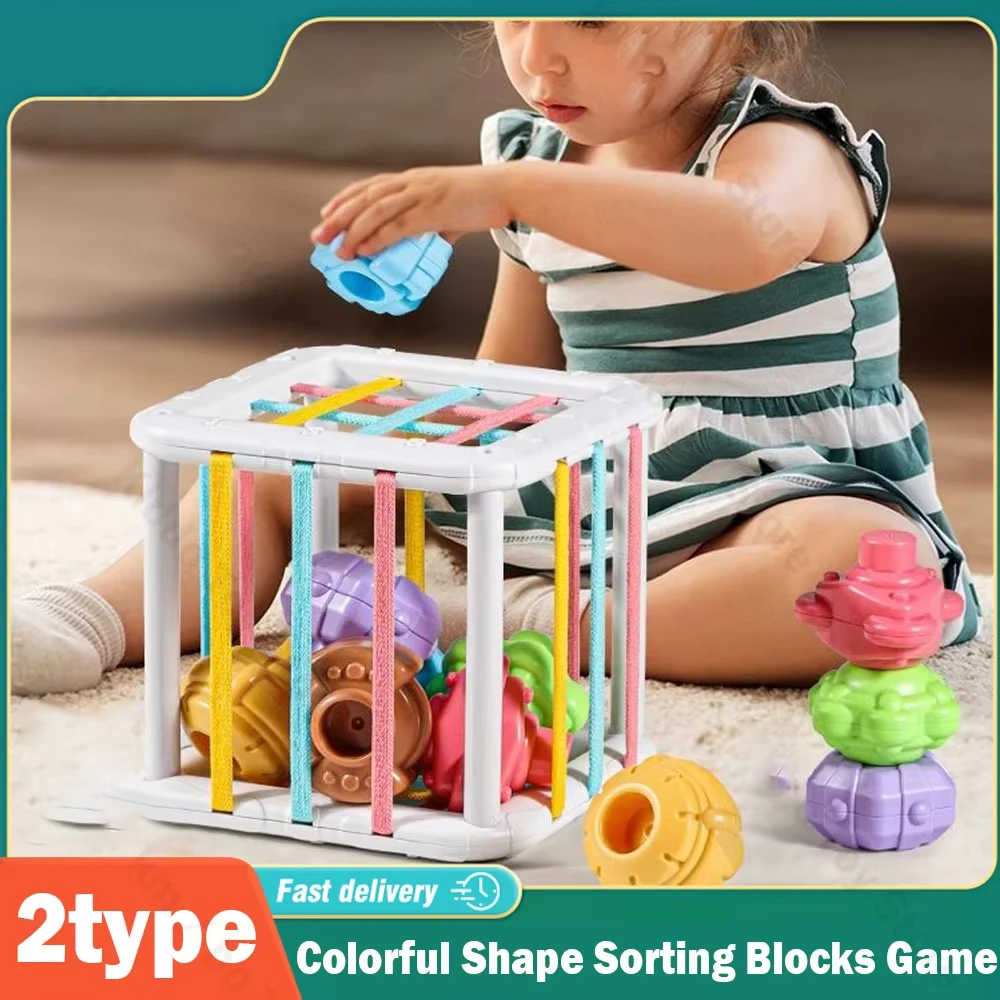 Colorful Shape Sorting Blocks Game Baby Montessori Learning Educational Toys For Children Baby Birth Baby Education Gift
Colorful Shape Sorting Blocks Game Baby Montessori Learning Educational Toys For Children Baby Birth Baby Education Gift
