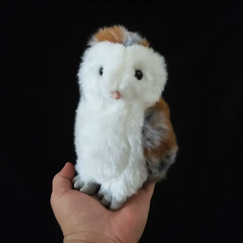 Cute Cartoon Barn Owl Doll A Plush Toy of A Simulated Bird Owl Lifelike Animals Simulation Stuffed Doll Kawaii Toy Gifts
Cute Cartoon Barn Owl Doll A Plush Toy of A Simulated Bird Owl Lifelike Animals Simulation Stuffed Doll Kawaii Toy Gifts