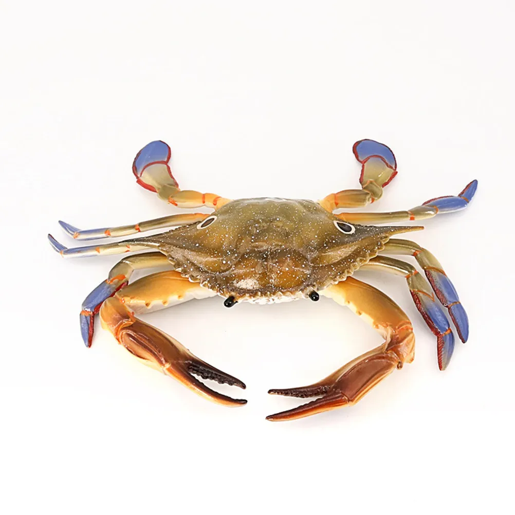 2Pcs Crab Simulation Creative Kids Playthings Bright Color Educational Cognitive Party Gift Prize Simulation Crabs
2Pcs Crab Simulation Creative Kids Playthings Bright Color Educational Cognitive Party Gift Prize Simulation Crabs