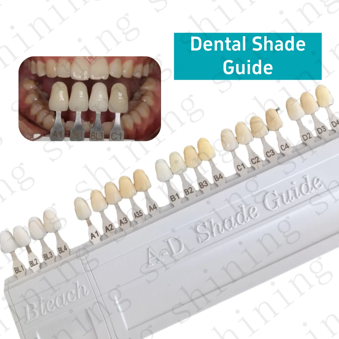 Dental A-D Bleached Shade Guide Bleach Chart 20 Colors Teeth Whitening Based Vita BL1/2/3/4
Dental A-D Bleached Shade Guide Bleach Chart 20 Colors Teeth Whitening Based Vita BL1/2/3/4