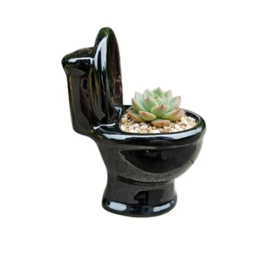 Ceramic Toilet Bowl Shaped Flower Pot - Unique and Charming Home Decor Black
Ceramic Toilet Bowl Shaped Flower Pot - Unique and Charming Home Decor Black