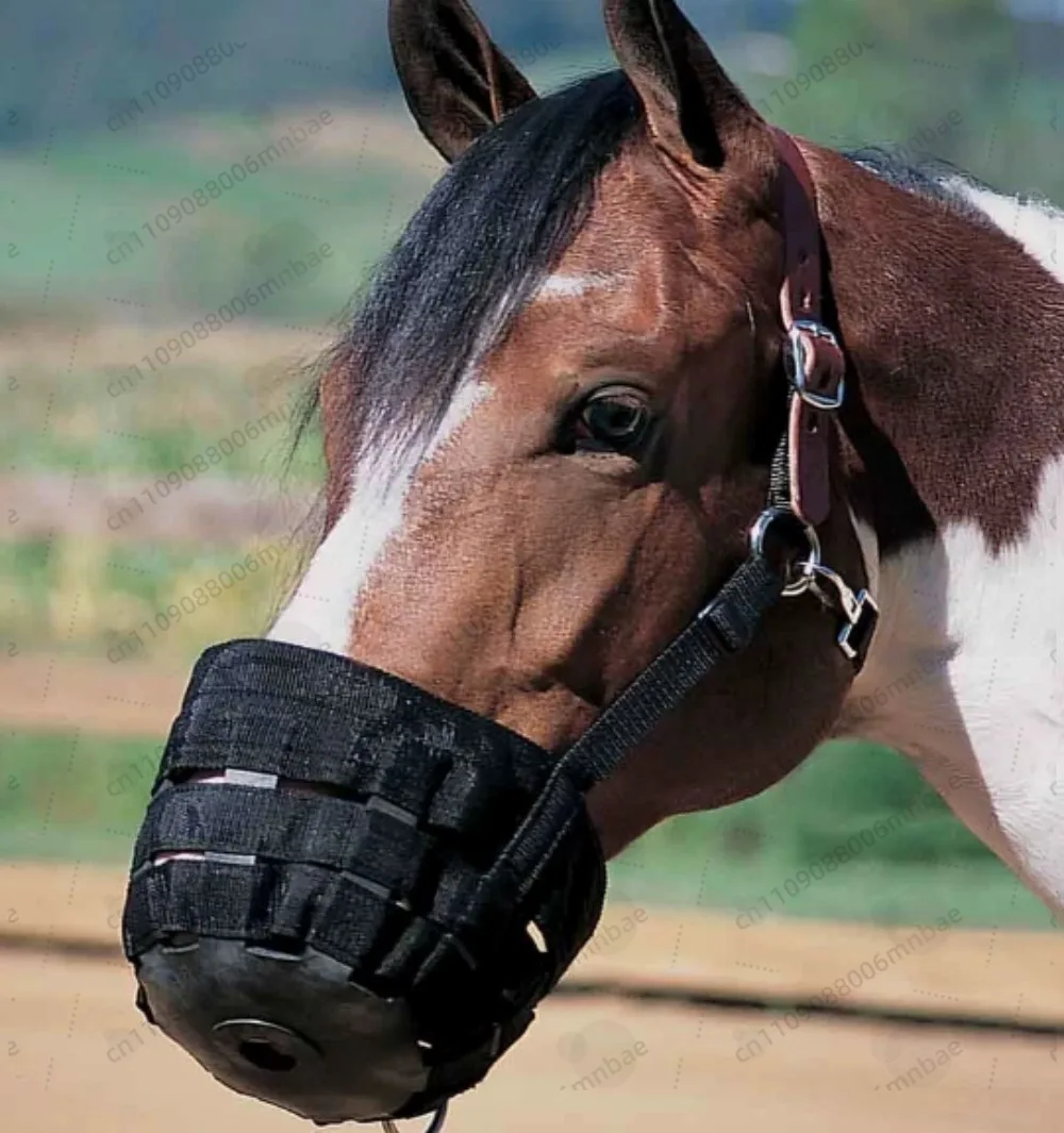 Nylon Horse muzzle With Adjustable Horse Halter Collar Overeating Prevention Harness Horse Cribbing Stall Chewing
Nylon Horse muzzle With Adjustable Horse Halter Collar Overeating Prevention Harness Horse Cribbing Stall Chewing