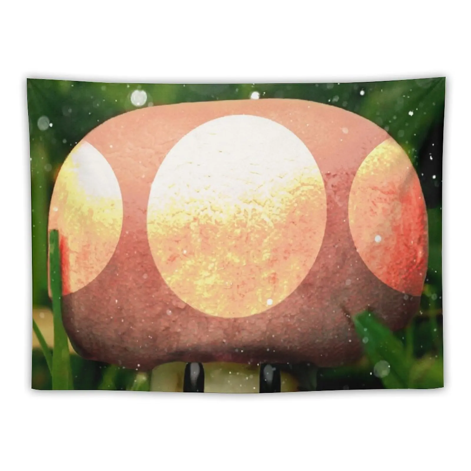 Super Mushroom Tapestry Decor For Bedroom Room Decore Aesthetic For Bedroom Tapestry
Super Mushroom Tapestry Decor For Bedroom Room Decore Aesthetic For Bedroom Tapestry