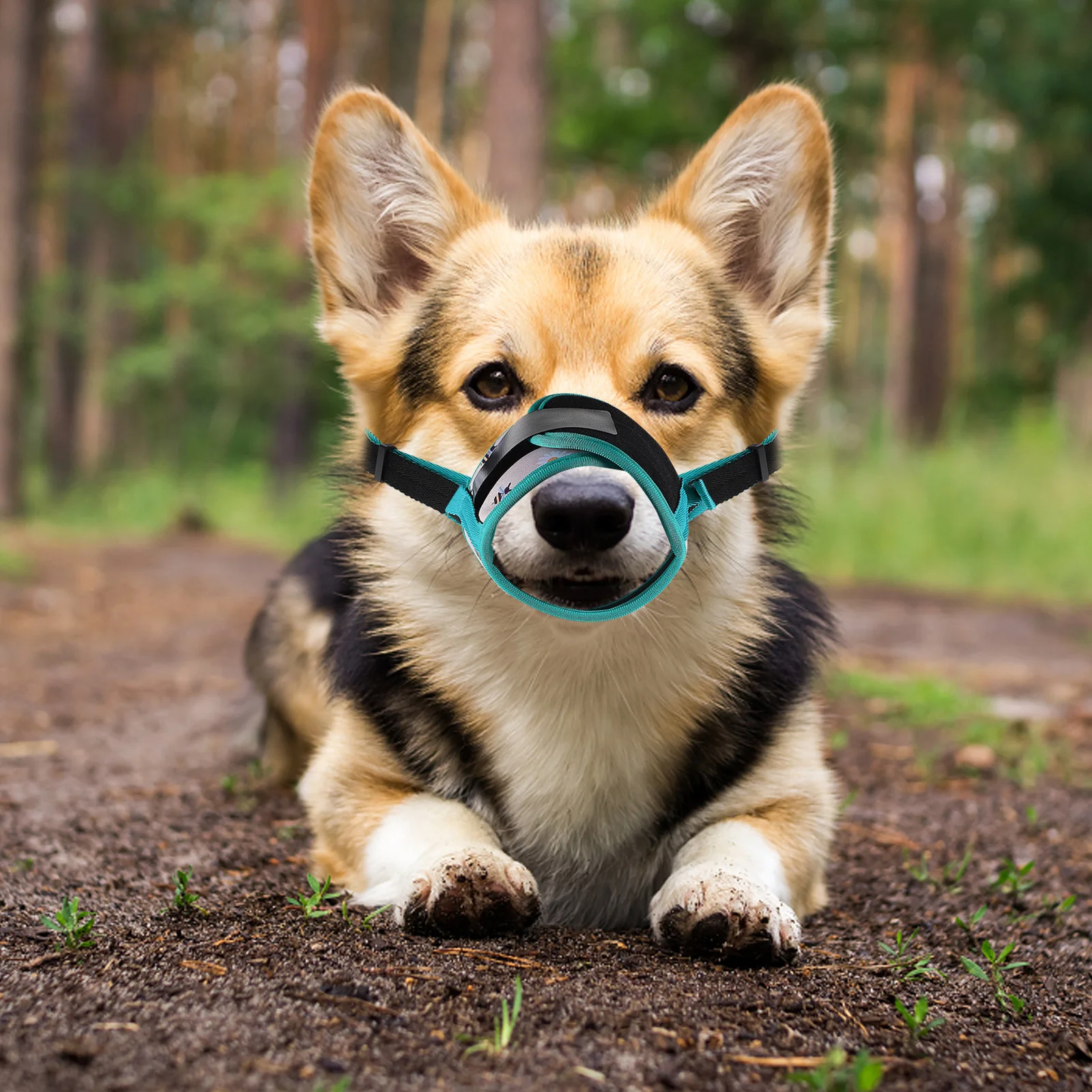 Breathable Polyester Dog Muzzle Anti-Biting Adjustable Printed Muzzle for Pet Safety and Accessory
Breathable Polyester Dog Muzzle Anti-Biting Adjustable Printed Muzzle for Pet Safety and Accessory