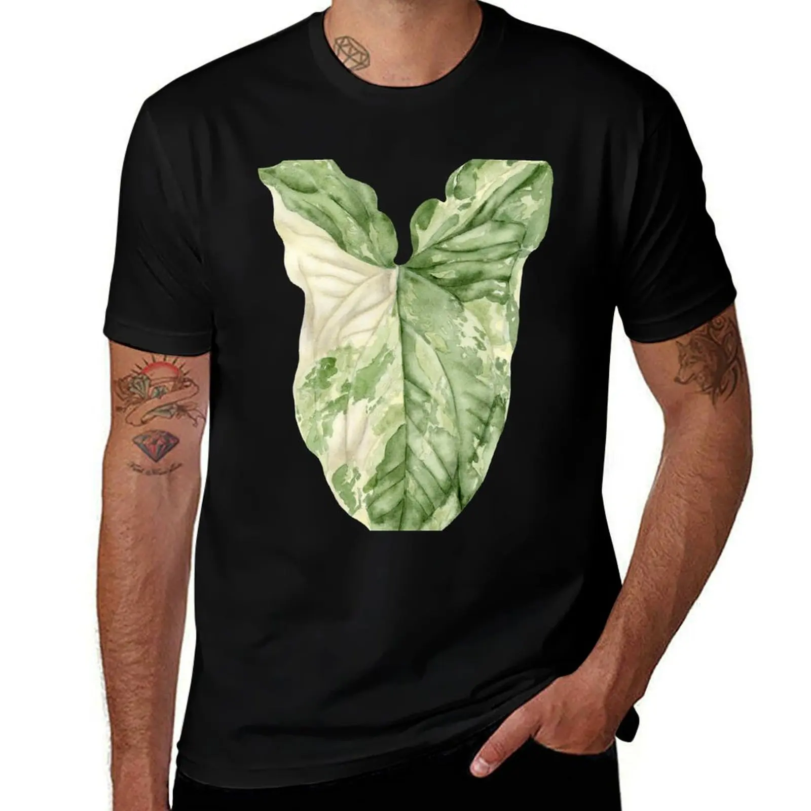 Syngonium Albo Variegata T-Shirt kawaii clothes cotton graphic tees quick-drying summer tops mens graphic t-shirts big and tall
Syngonium Albo Variegata T-Shirt kawaii clothes cotton graphic tees quick-drying summer tops mens graphic t-shirts big and tall