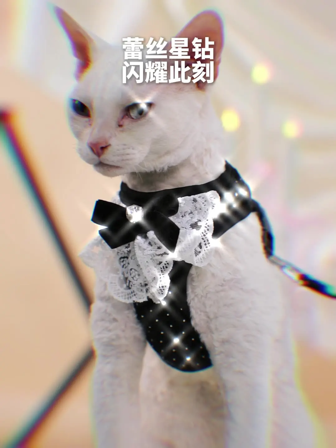 Touchdog Diamond Cat Chest Leash Vest Type Anti-breakaway Non-Stringy Neck Outdoor Cat Walking Leash
Touchdog Diamond Cat Chest Leash Vest Type Anti-breakaway Non-Stringy Neck Outdoor Cat Walking Leash