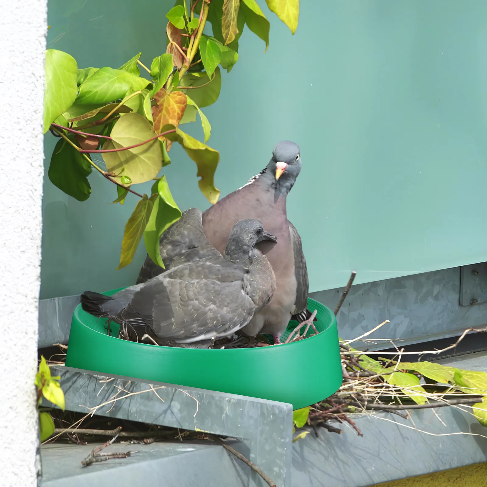 10Pcs Pigeon Nesting Box Reusable Washable Bird Egg Basin Breathable Dry Fast Breeding Nest for Parrot Home Farm Use
10Pcs Pigeon Nesting Box Reusable Washable Bird Egg Basin Breathable Dry Fast Breeding Nest for Parrot Home Farm Use