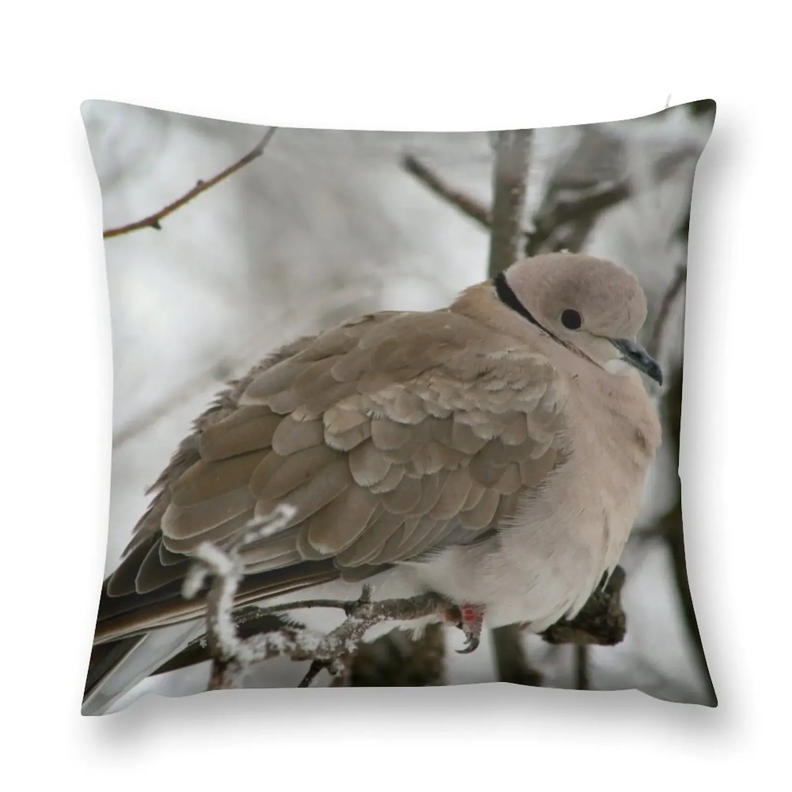 Eurasian Collared Dove Throw Pillow Cushions For Decorative Sofa ornamental pillows for living room Decorative Cushions pillow
Eurasian Collared Dove Throw Pillow Cushions For Decorative Sofa ornamental pillows for living room Decorative Cushions pillow