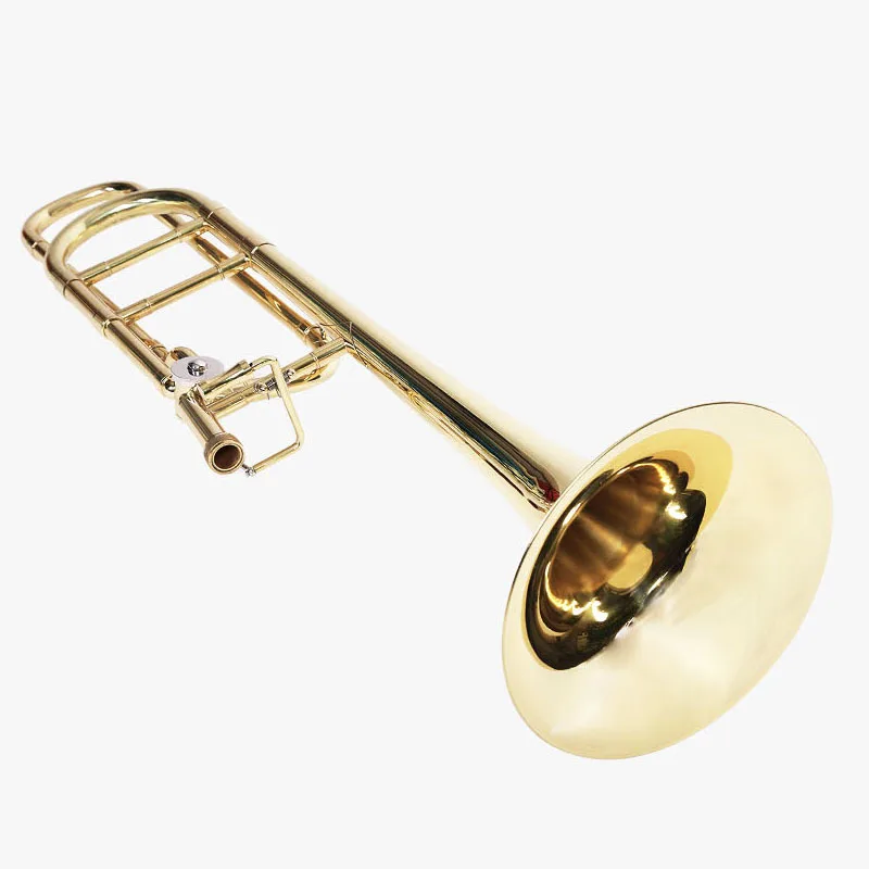 Hooqu Children Trombone Professional Level Bass Tone Trombone Alto Trombone Instrument in B-flat To F
Hooqu Children Trombone Professional Level Bass Tone Trombone Alto Trombone Instrument in B-flat To F
