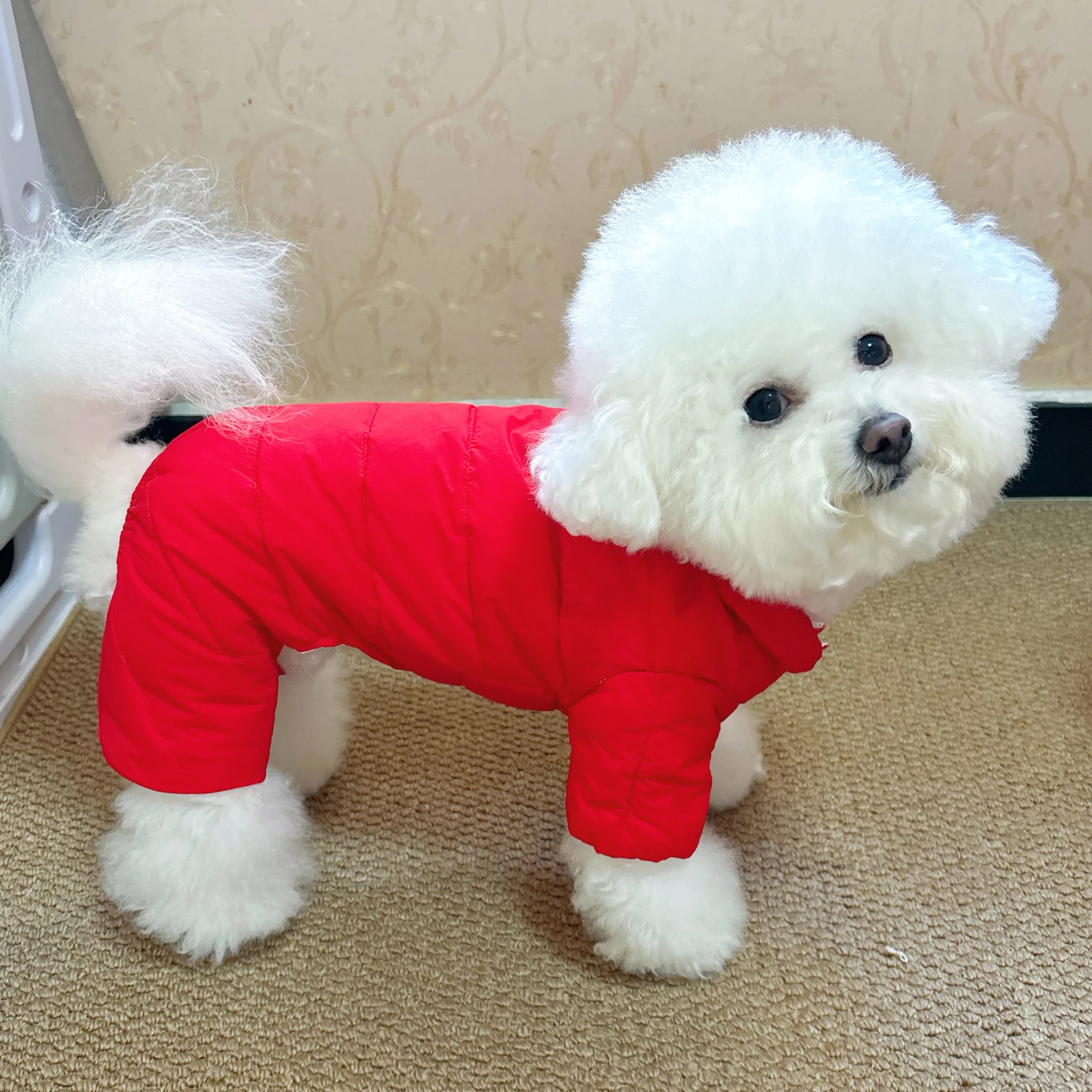 Теплая зимняя куртка на флисовой подкладке для маленьких собак: Тедди, Бишон, Померанский шпиц. Водонепроницаемая повседневная одежда для собак на четыре лапы.
Теплая зимняя куртка на флисовой подкладке для маленьких собак: Тедди, Бишон, Померанский шпиц. Водонепроницаемая повседневная одежда для собак на четыре лапы.