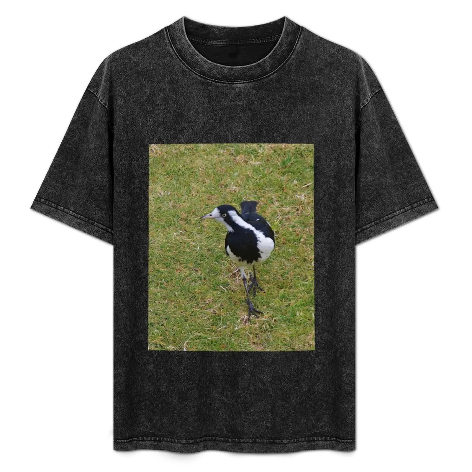 Magpie-lark (Grallina cyanoleuca) T-Shirt Plus Size Lightweight Tee Shirt
Magpie-lark (Grallina cyanoleuca) T-Shirt Plus Size Lightweight Tee Shirt