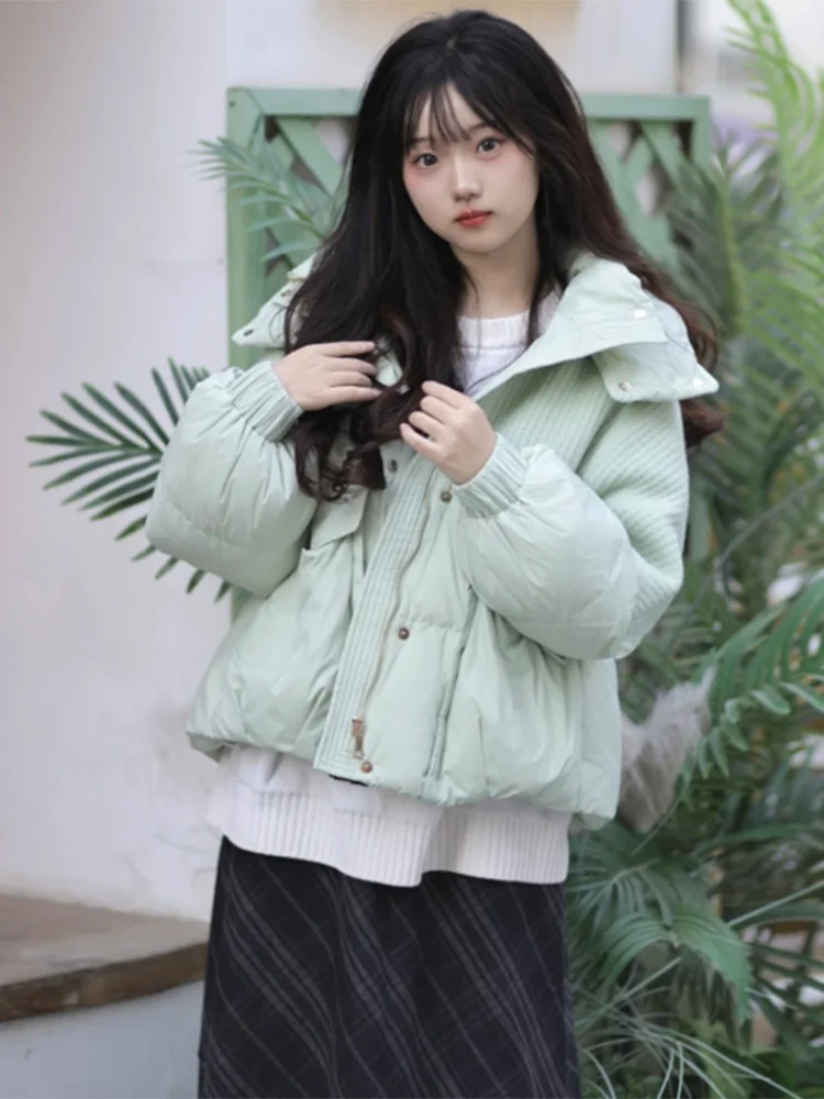 Новинка зимы: Женская свободная утепленная куртка-худи на молнии для повседневной носки
Новинка зимы: Женская свободная утепленная куртка-худи на молнии для повседневной носки