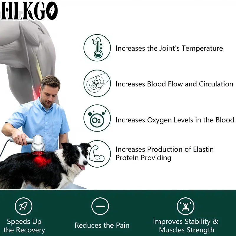 Veterinary Fast Recovery Cold Light Therapy 1055mW Medical Grade Physiotherapy Instrument for Dog Cat Horse Pain Relief
Veterinary Fast Recovery Cold Light Therapy 1055mW Medical Grade Physiotherapy Instrument for Dog Cat Horse Pain Relief