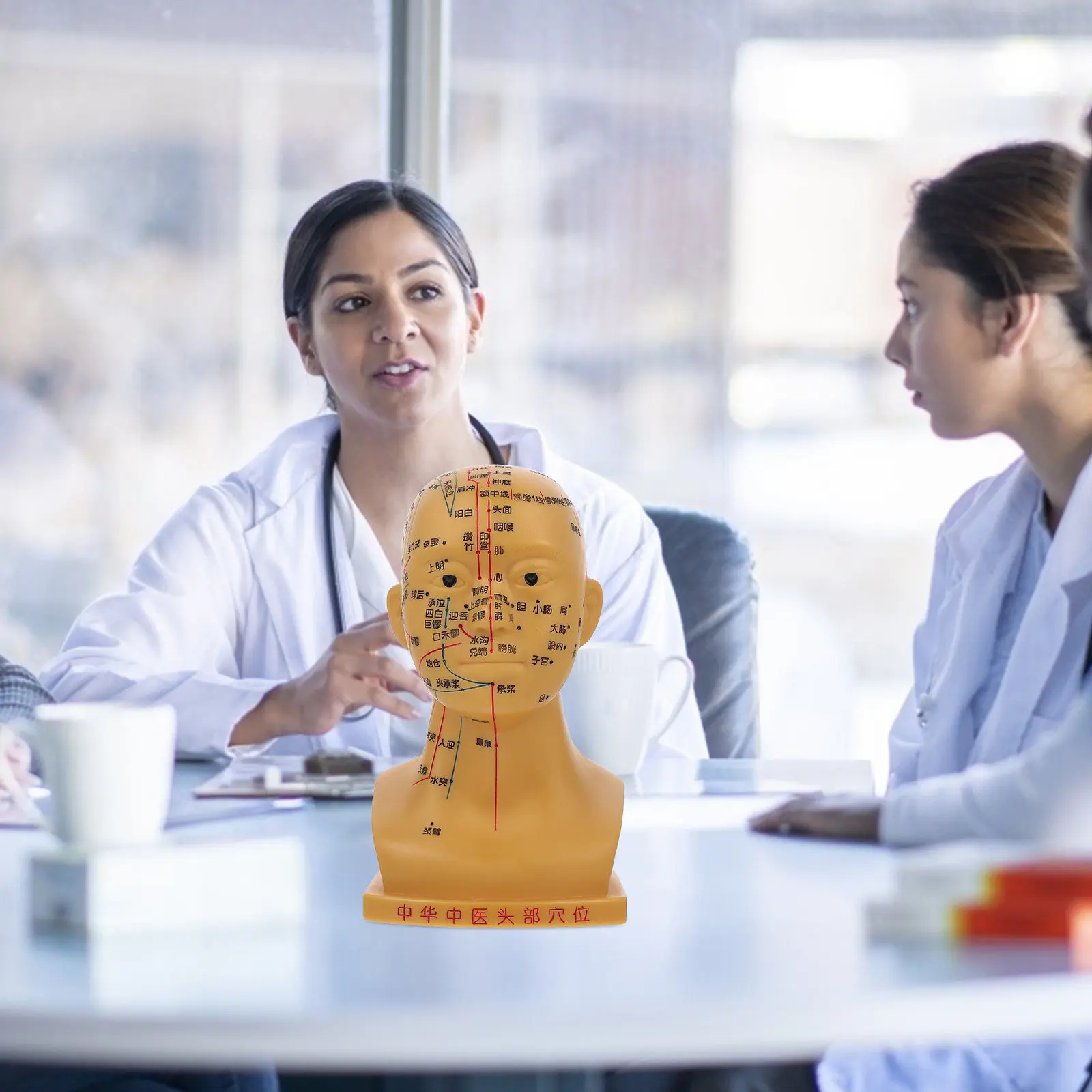 Head Acupuncture High Definition PVC Teaching Aid Classroom Health Education Tool Human Head Acupoint Points Precise
Head Acupuncture High Definition PVC Teaching Aid Classroom Health Education Tool Human Head Acupoint Points Precise