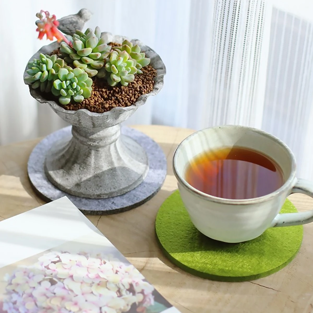 20pcs Anti-slip Flower Pot Mat Water Resistant Felt Coasters Round Furniture Pads Floor Protectors Chair Feet Mats Home Decor
20pcs Anti-slip Flower Pot Mat Water Resistant Felt Coasters Round Furniture Pads Floor Protectors Chair Feet Mats Home Decor