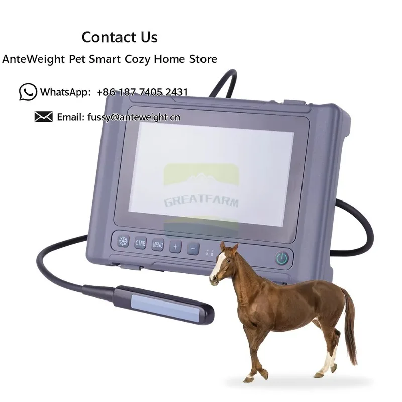 T1 Cattle Ultrasound Scanner Spanish Rectal Probe Veterinary Sonar Scanning Machine for Cow Horse Camel
T1 Cattle Ultrasound Scanner Spanish Rectal Probe Veterinary Sonar Scanning Machine for Cow Horse Camel