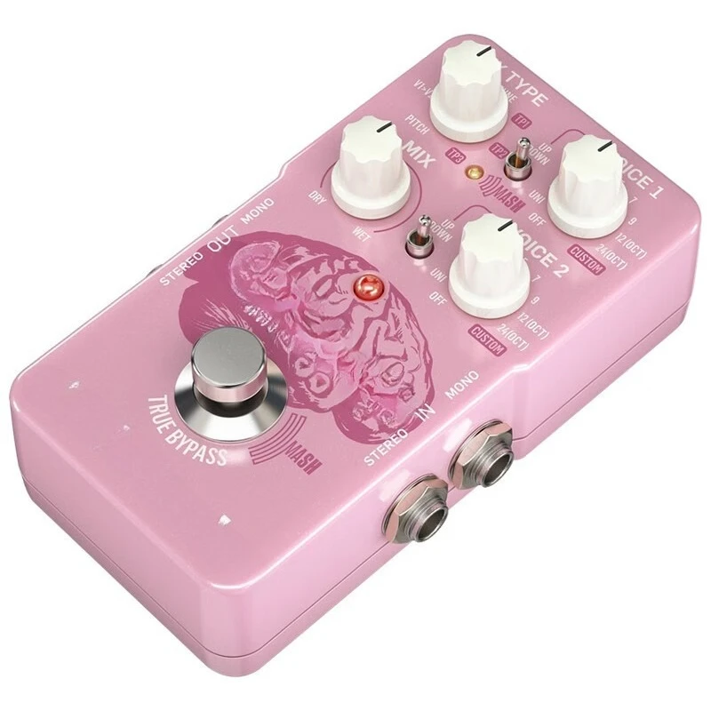 Brainwaves PITCH SHIFTER Polyphonic Transposed Guitar Monolithic
Brainwaves PITCH SHIFTER Polyphonic Transposed Guitar Monolithic