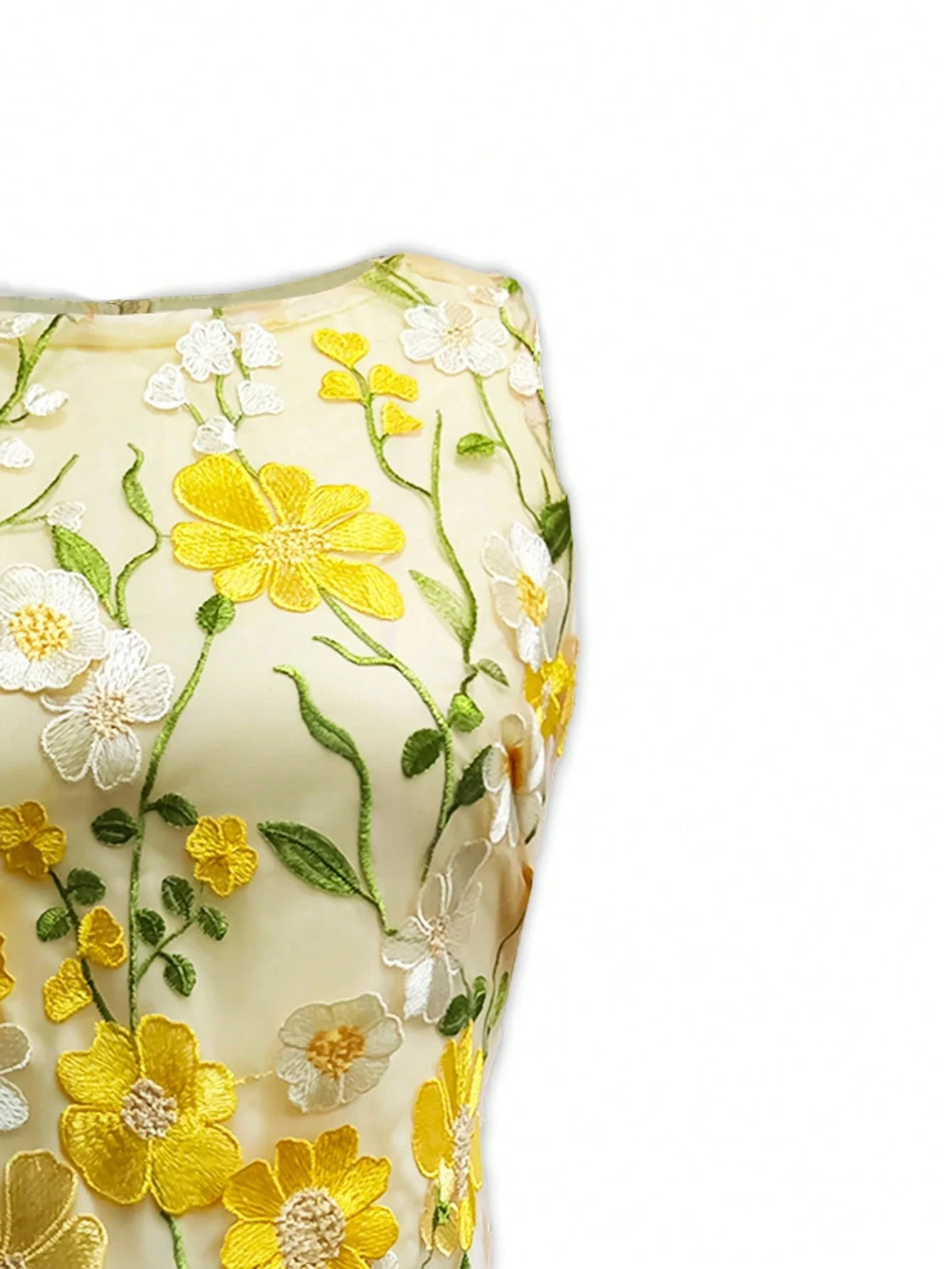 Women Sleeveless Round Neck Floral Embroidered Bodycon Mini Dress
Women Sleeveless Round Neck Floral Embroidered Bodycon Mini Dress