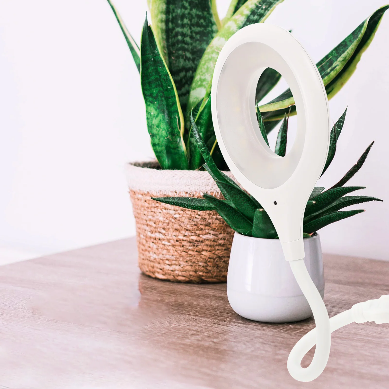 Reading Bedside Usb Gooseneck Lamp Light Dimmable Usb Gooseneck Lamp For Bedside Night Reading Flexible Led Light
Reading Bedside Usb Gooseneck Lamp Light Dimmable Usb Gooseneck Lamp For Bedside Night Reading Flexible Led Light