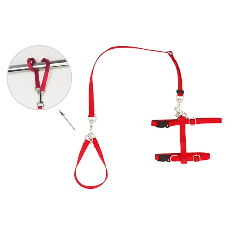 *washing cat clipping nails, anti-scratch and anti-bite fixer, pet grooming table, tethering cat rope to prevent breaking free
*washing cat clipping nails, anti-scratch and anti-bite fixer, pet grooming table, tethering cat rope to prevent breaking free