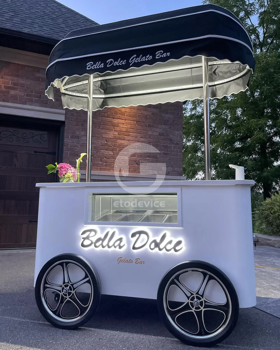 Push Cart Ice Cream Ice Cream Vending Cart for Sale
Push Cart Ice Cream Ice Cream Vending Cart for Sale