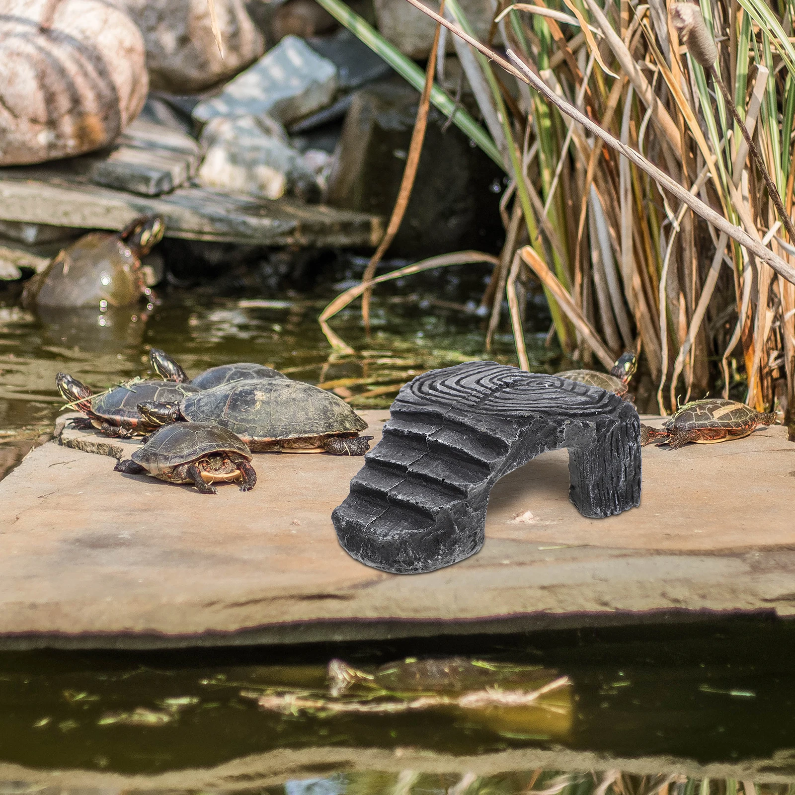 Turtle Basking Platform Dark Grey Resin Small Size Reptile Habitat Durable Stain Resistant Aquarium Decor Pet
Turtle Basking Platform Dark Grey Resin Small Size Reptile Habitat Durable Stain Resistant Aquarium Decor Pet