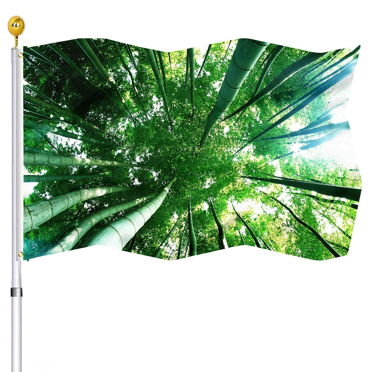 Green Bamboo Flag Tall Trees In Grove Exotic Style Nature Theme Flags Polyester with Brass Grommets Indoor Outdoor Home Decor
Green Bamboo Flag Tall Trees In Grove Exotic Style Nature Theme Flags Polyester with Brass Grommets Indoor Outdoor Home Decor