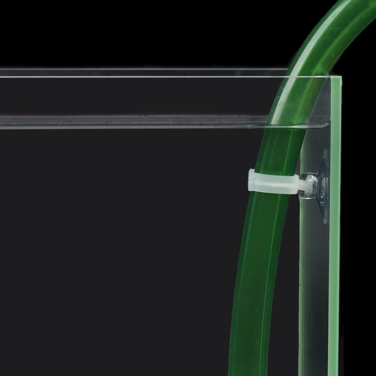 Aquarium Strong Transparent Suction Cup Fish Tank Clamp Sucker for Aquariums Pump
Aquarium Strong Transparent Suction Cup Fish Tank Clamp Sucker for Aquariums Pump