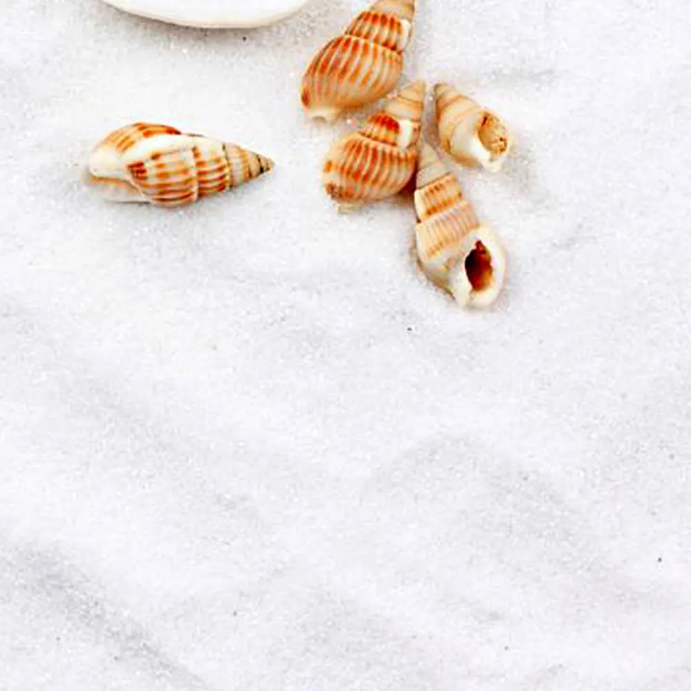 White Beauty Sand 80g Fish Tank Decorations Home Garden Aquarium Wedding 5 Packs Sand Decoration Terrarium VasesAquarium
White Beauty Sand 80g Fish Tank Decorations Home Garden Aquarium Wedding 5 Packs Sand Decoration Terrarium VasesAquarium