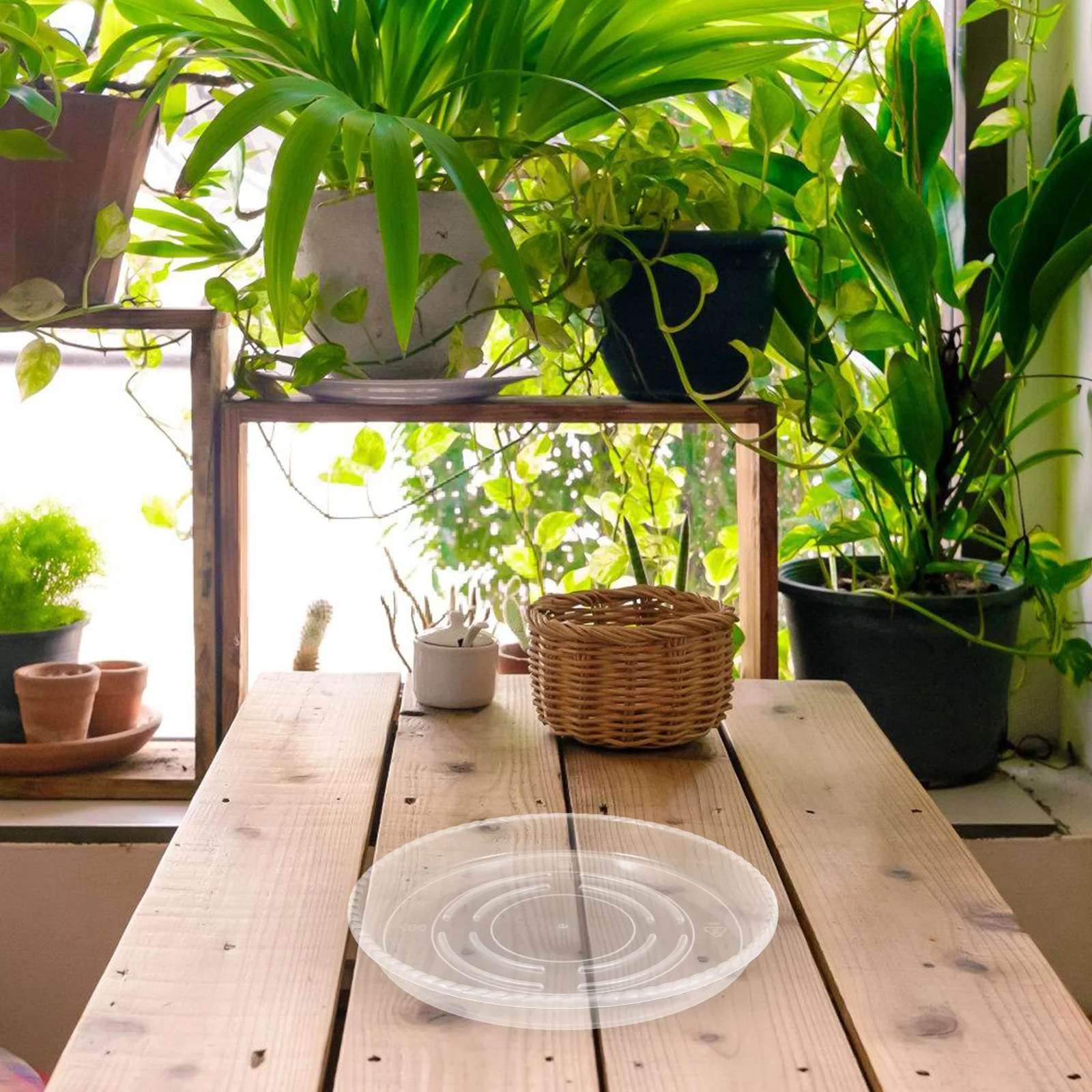 4Pcs Clear Plastic Plants Pot Saucer Round Planter Tray Indoor Outdoor Flower Pot Drainage Tray Gardening Plastic Water Trays
4Pcs Clear Plastic Plants Pot Saucer Round Planter Tray Indoor Outdoor Flower Pot Drainage Tray Gardening Plastic Water Trays