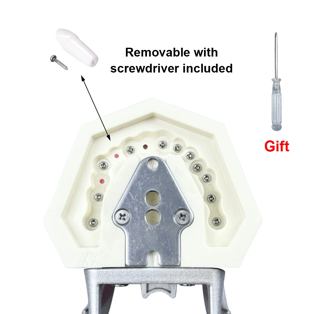 24/28/32 Teeth Dental Teaching Model DP Jaw Resin Typodont Soft Gum With Removable Tooth For Dentist Practice Training Studying
24/28/32 Teeth Dental Teaching Model DP Jaw Resin Typodont Soft Gum With Removable Tooth For Dentist Practice Training Studying