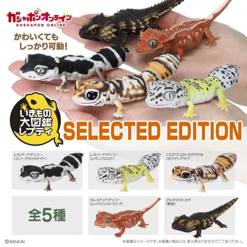 BANDAI Gacha Toy in Stock Selected Reptiles Rodents Armadillos Lizard Figurines and Gacha Are Perfect Holiday Gifts for Children
BANDAI Gacha Toy in Stock Selected Reptiles Rodents Armadillos Lizard Figurines and Gacha Are Perfect Holiday Gifts for Children
