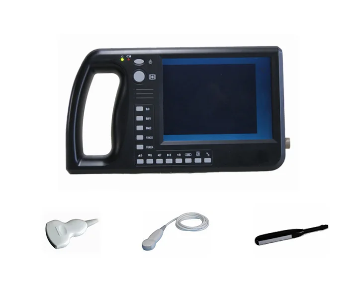 Portable transductor ecografia veterinary ultrasound scanner animal convexo probes ultrasonido transducer x8 laparoscopica
Portable transductor ecografia veterinary ultrasound scanner animal convexo probes ultrasonido transducer x8 laparoscopica