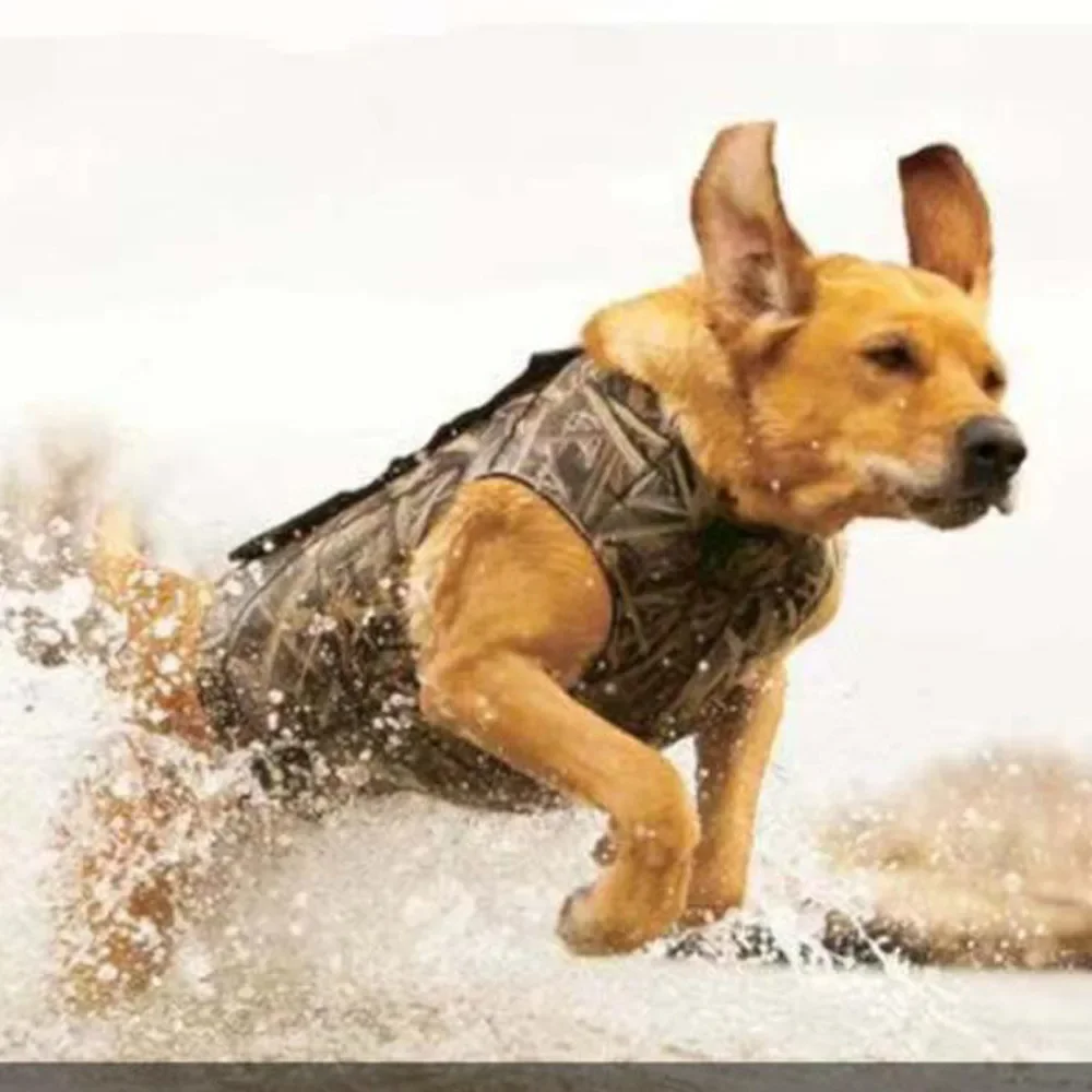 Supplier Hunting Gears Manufacturer Orange Waterproof Duck Wild Boar Catch Protective Neoprene Dog Hunting Protection Vests
Supplier Hunting Gears Manufacturer Orange Waterproof Duck Wild Boar Catch Protective Neoprene Dog Hunting Protection Vests