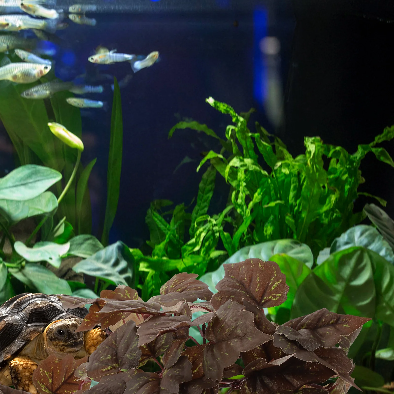 Artificial Hanging Plants 23 Leaves Double Color Suction Cups Decor for Amphibian Reptile Terrarium Supplies Lifelike Fish Tank
Artificial Hanging Plants 23 Leaves Double Color Suction Cups Decor for Amphibian Reptile Terrarium Supplies Lifelike Fish Tank