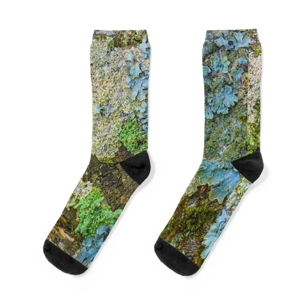 Lichen Springtime Looks Socks valentine gift ideas cool sheer ankle Girl'S Socks Men's 
Lichen Springtime Looks Socks valentine gift ideas cool sheer ankle Girl'S Socks Men's