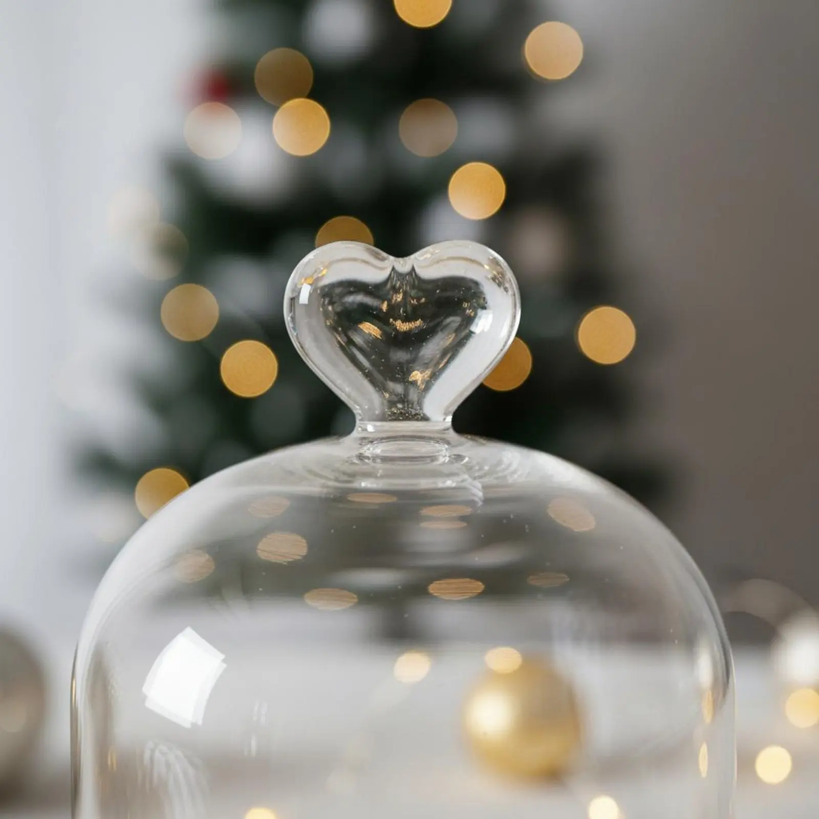 Preserved Flower Display Dome Dustproof Glass Cloche with Base Dome Jar Display Case Multipurpose Desktop Glass Cover Handmade
Preserved Flower Display Dome Dustproof Glass Cloche with Base Dome Jar Display Case Multipurpose Desktop Glass Cover Handmade