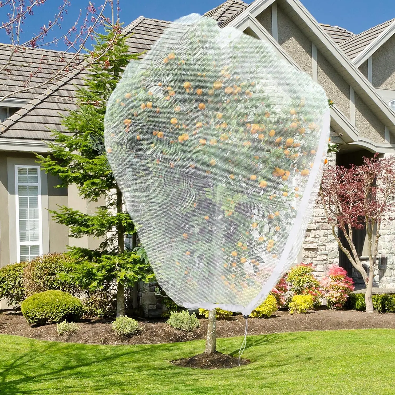 Large Fruit Tree Netting 10x10FT, Drawstring & Zipper, Bird & Insect Protection for Garden
Large Fruit Tree Netting 10x10FT, Drawstring & Zipper, Bird & Insect Protection for Garden