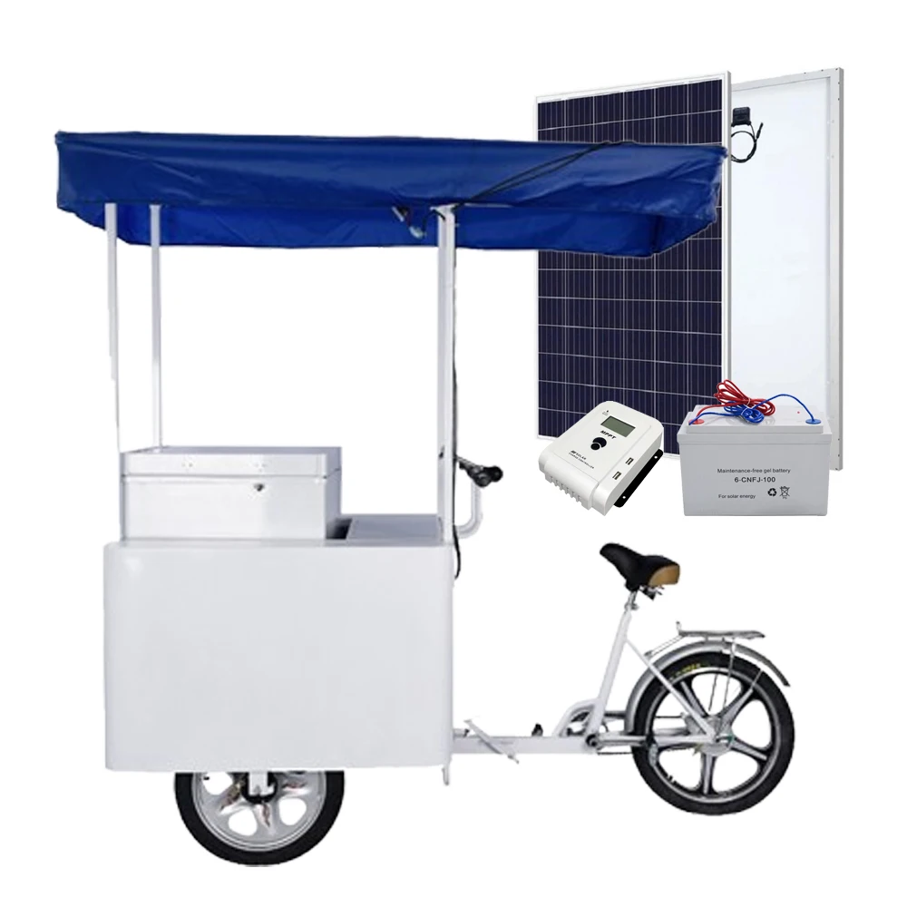 Classic Design Green Health 12/24V Ice Cream Display Freezer Cart Bicycle Commercial Cargo for Cold Drink Mobile Sale 158L
Classic Design Green Health 12/24V Ice Cream Display Freezer Cart Bicycle Commercial Cargo for Cold Drink Mobile Sale 158L