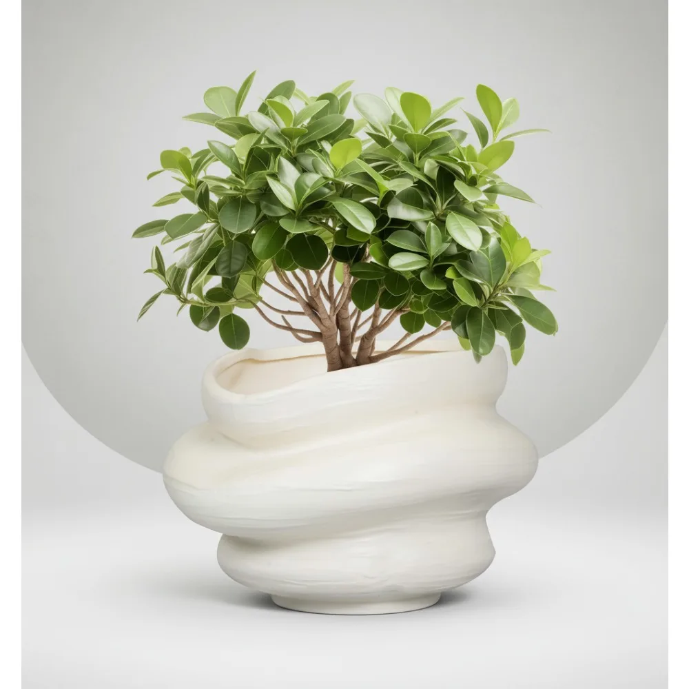 Большой 11-дюймовый керамический горшок для растений с дренажным отверстием - кашпо для цветов бонсай в помещении и на открытом воздухе для офиса, домашнего декора, подарок
Большой 11-дюймовый керамический горшок для растений с дренажным отверстием - кашпо для цветов бонсай в помещении и на открытом воздухе для офиса, домашнего декора, подарок