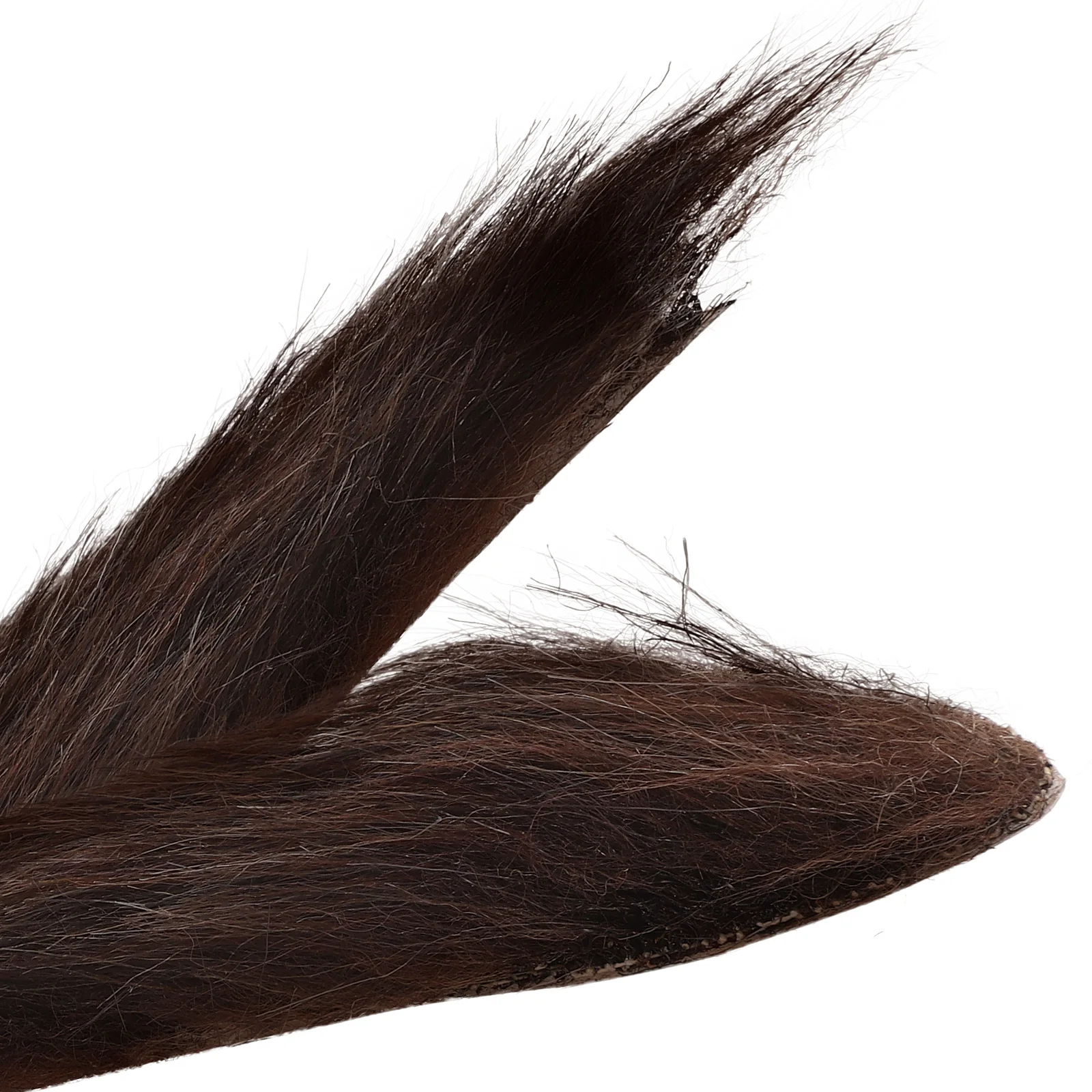 1 Set Halloween Fake Beard Eyebrow Cosplay Decor Costume Accessory Cloth Material Party Role For Adults Diy Carnival
1 Set Halloween Fake Beard Eyebrow Cosplay Decor Costume Accessory Cloth Material Party Role For Adults Diy Carnival