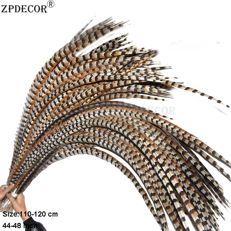 ZPDECOR 10-Pack Reeves Pheasant Feathers 32-44 Inch 80-110 cm For DIY Carnival Costumes And Decorations
ZPDECOR 10-Pack Reeves Pheasant Feathers 32-44 Inch 80-110 cm For DIY Carnival Costumes And Decorations