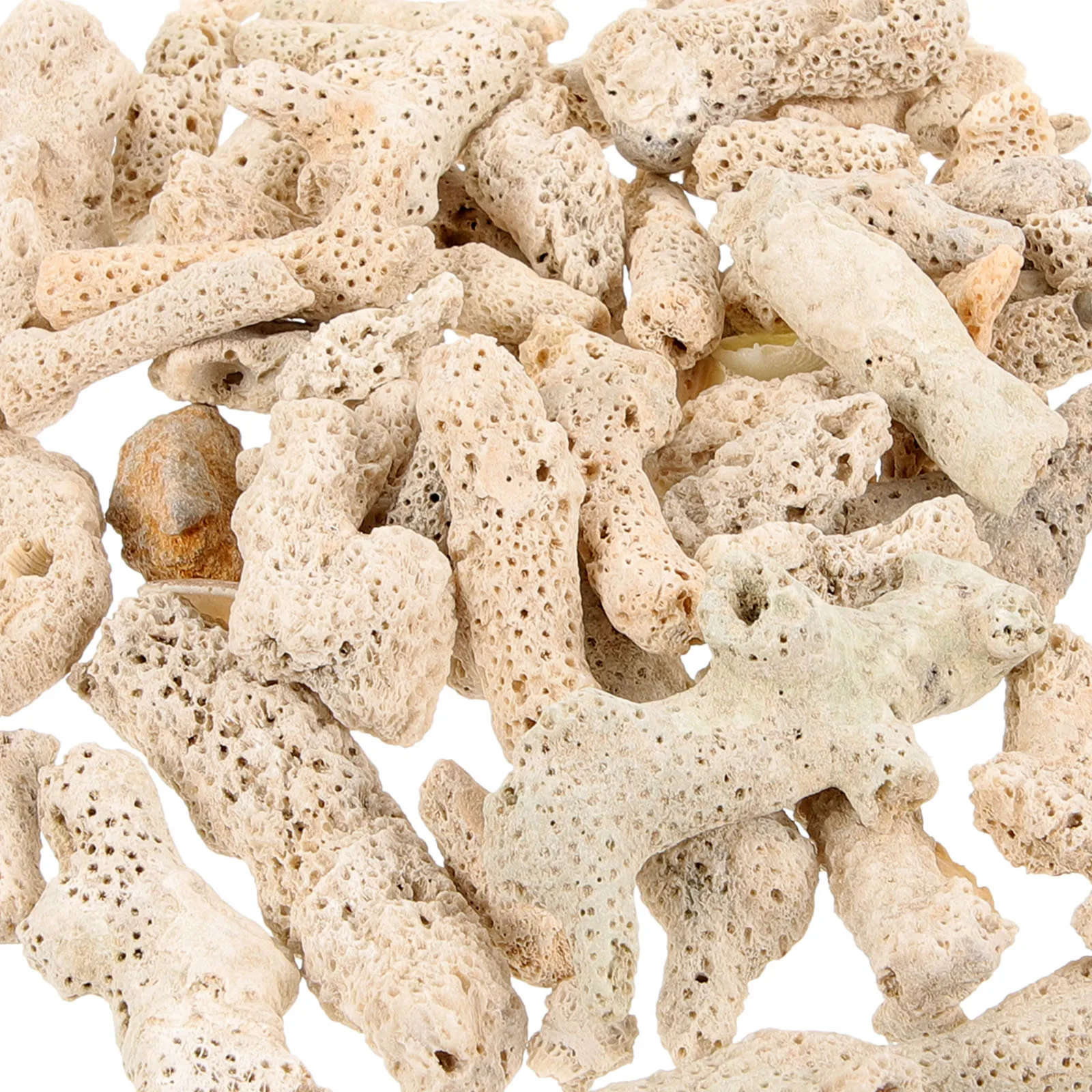 1 set Coral Bone Sand for Fish Tank Aquarium Filter Media Reusable Crushed Coral Freshwater Saltwater Safe Supplies Stabilize PH
1 set Coral Bone Sand for Fish Tank Aquarium Filter Media Reusable Crushed Coral Freshwater Saltwater Safe Supplies Stabilize PH
