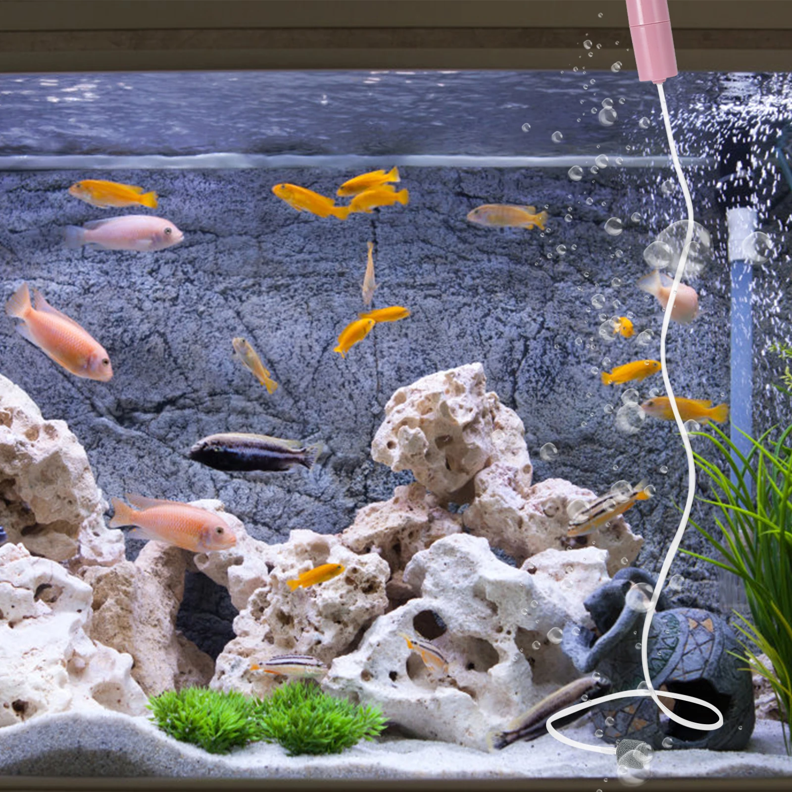 Oxygen Pump Fish Tank Supply Aquarium Air Pump USB Aerator Home Fish Tank Accessory Small Durable for Aeration Pet Supplies
Oxygen Pump Fish Tank Supply Aquarium Air Pump USB Aerator Home Fish Tank Accessory Small Durable for Aeration Pet Supplies