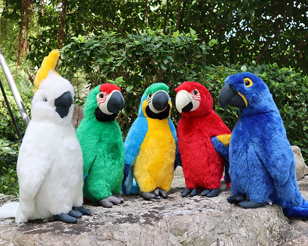 Big Lifelike Hyacinth Macaw Birds Plush Toy Realistic White Cockatoo Red Blue Parrot Stuffed Toys Zoo Animals Gifts
Big Lifelike Hyacinth Macaw Birds Plush Toy Realistic White Cockatoo Red Blue Parrot Stuffed Toys Zoo Animals Gifts