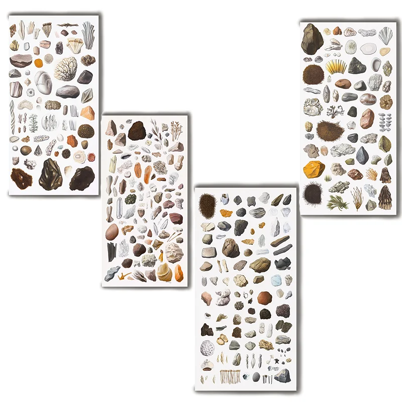 Naturalism Pieter Bruegel Style Natural Specimen Collect Artwork Poster Modern Living Room Wall Art Canvas Painting
Naturalism Pieter Bruegel Style Natural Specimen Collect Artwork Poster Modern Living Room Wall Art Canvas Painting