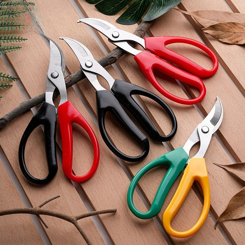 Stainless Steel Grape Strawberry Fruit Picking Shears Garden Fruit Tree Grafting Shears Non-slip Gardening Fruit and Vegetable
Stainless Steel Grape Strawberry Fruit Picking Shears Garden Fruit Tree Grafting Shears Non-slip Gardening Fruit and Vegetable