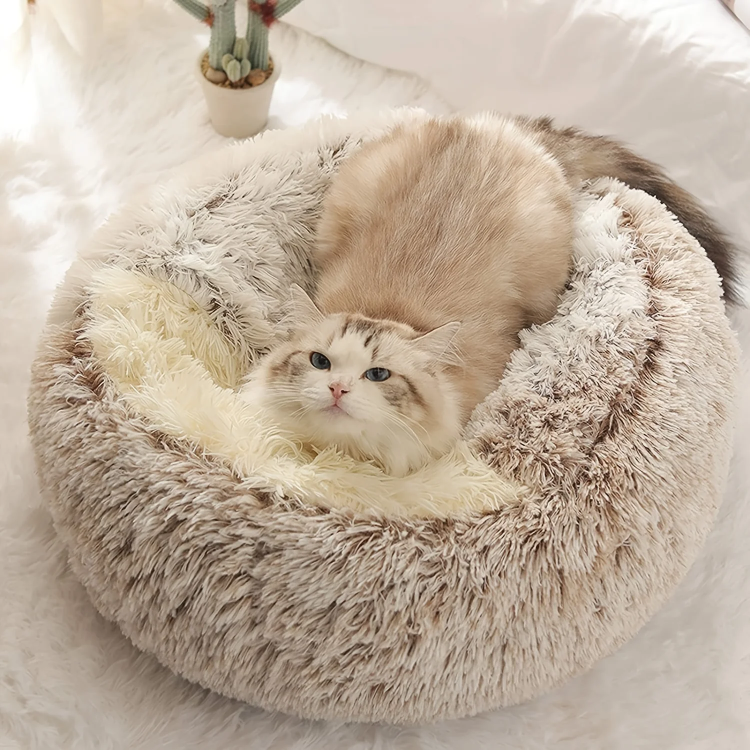 Comfortable Long Plush Cat Bed Round Pet House Cushion Winter Cat House Warm Kitty Basket Nest For Small Medium Cat
Comfortable Long Plush Cat Bed Round Pet House Cushion Winter Cat House Warm Kitty Basket Nest For Small Medium Cat