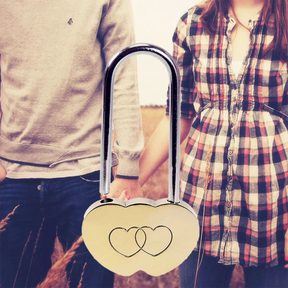 Concentric Lock Copper Material High Gloss Polished Eternal Emotion Witness Love Lock for Girlfriend Boyfriend
Concentric Lock Copper Material High Gloss Polished Eternal Emotion Witness Love Lock for Girlfriend Boyfriend