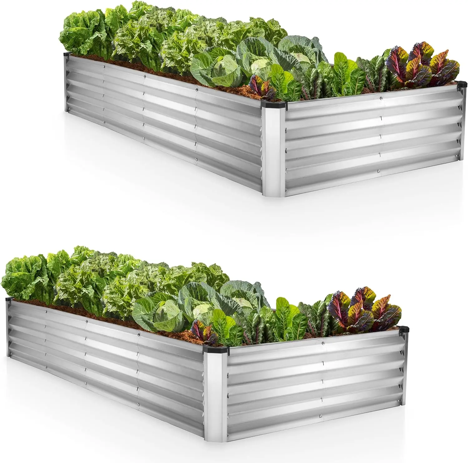 Galvanized Raised Garden Beds Outdoor // 8×4×1 ft (2-Pack) Planter Raised Beds for Gardening, Vegetables, Flowers // Large Metal
Galvanized Raised Garden Beds Outdoor // 8×4×1 ft (2-Pack) Planter Raised Beds for Gardening, Vegetables, Flowers // Large Metal